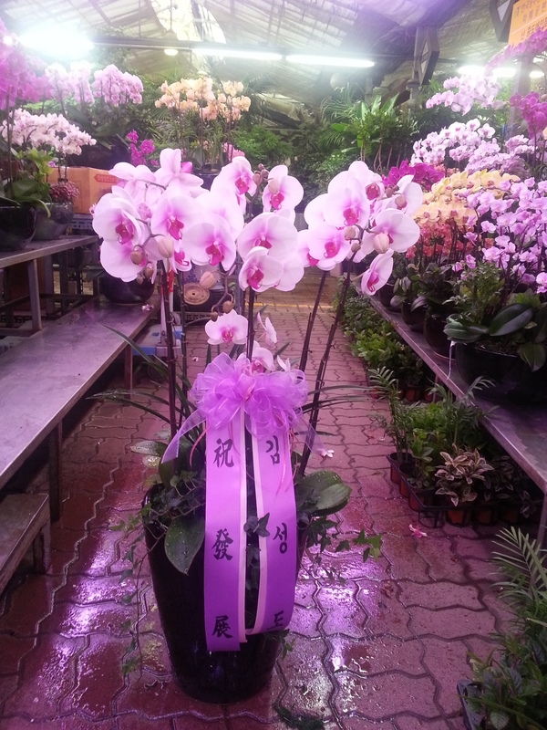 7��12��(�ݿ���)