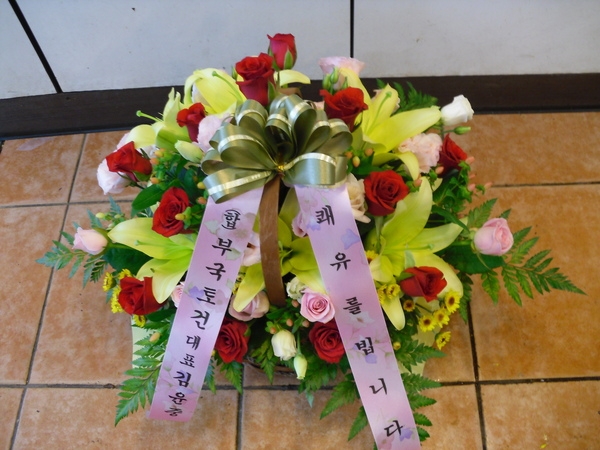 7��12��(�ݿ���)