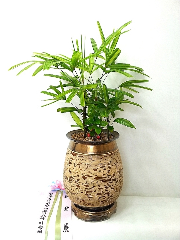 7��12��(�ݿ���)