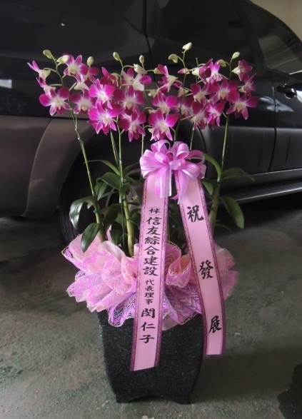 7��12��(�ݿ���)