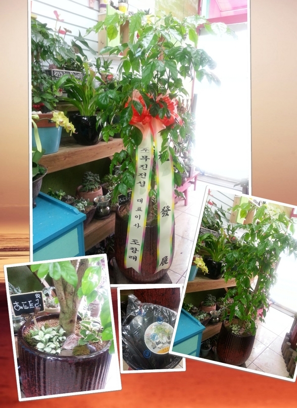 7��12��(�ݿ���)