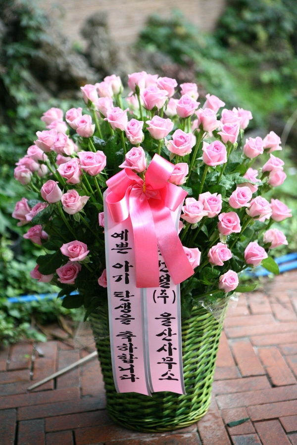 7��12��(�ݿ���)