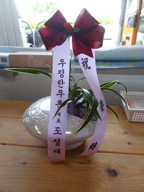 7��15��(������)