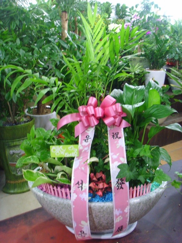 7��15��(������)