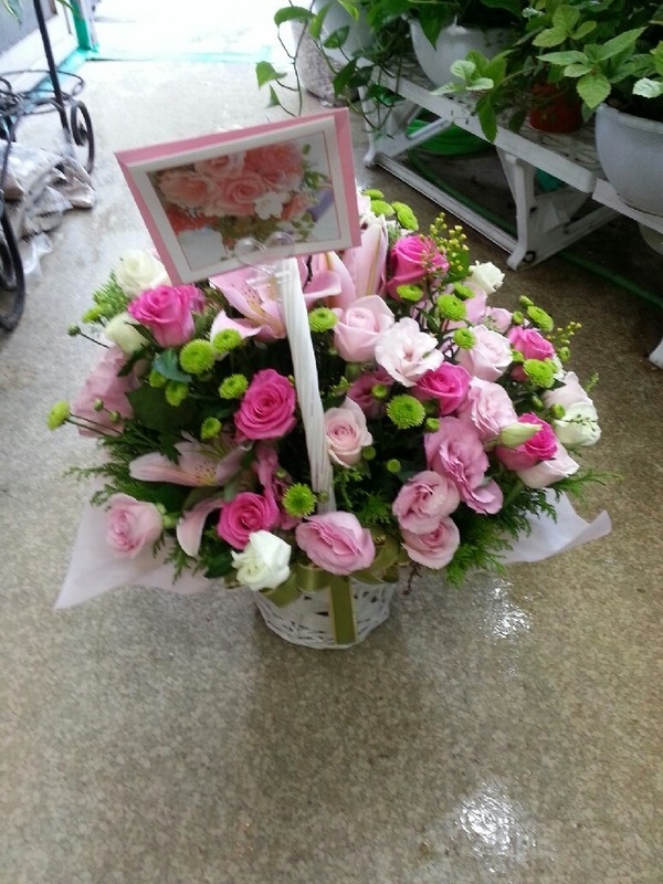 7��15��(������)