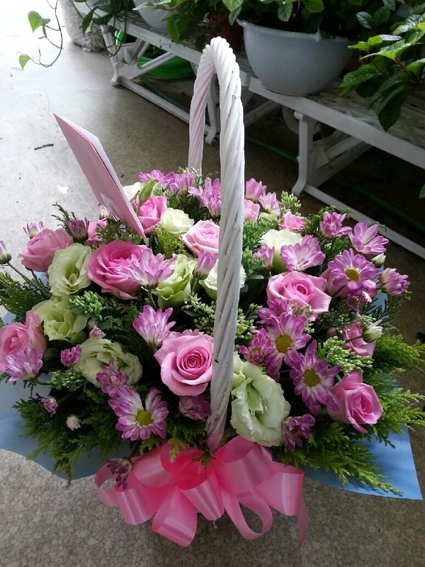 7��15��(������)