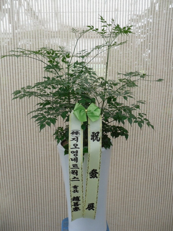 7��15��(������)