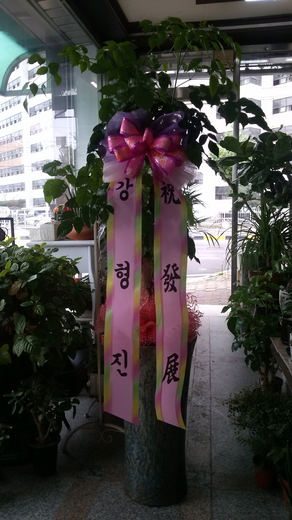 7��15��(������)