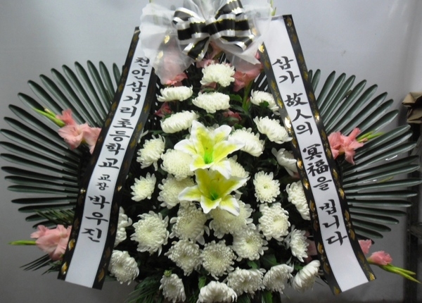 7��15��(������)