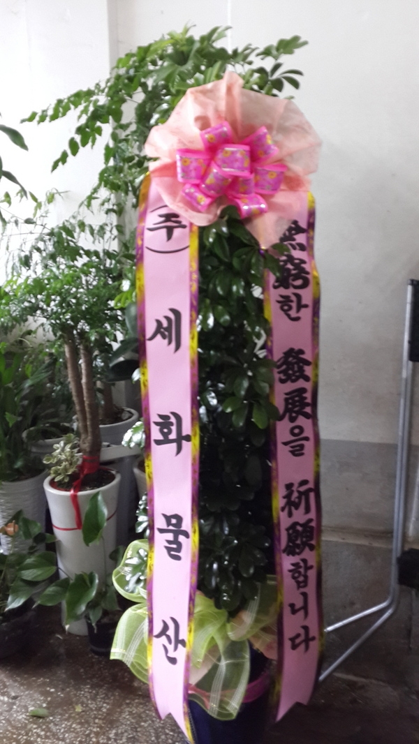 7��17��(������)