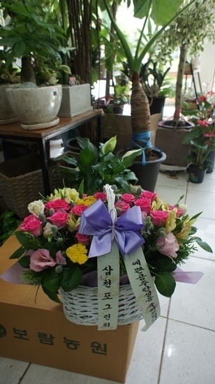 7��17��(������)