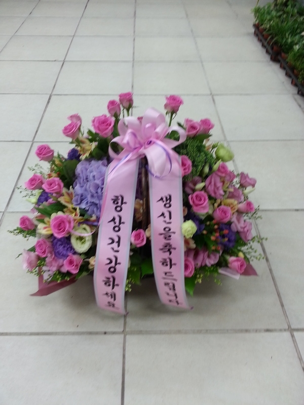 7��17��(������)