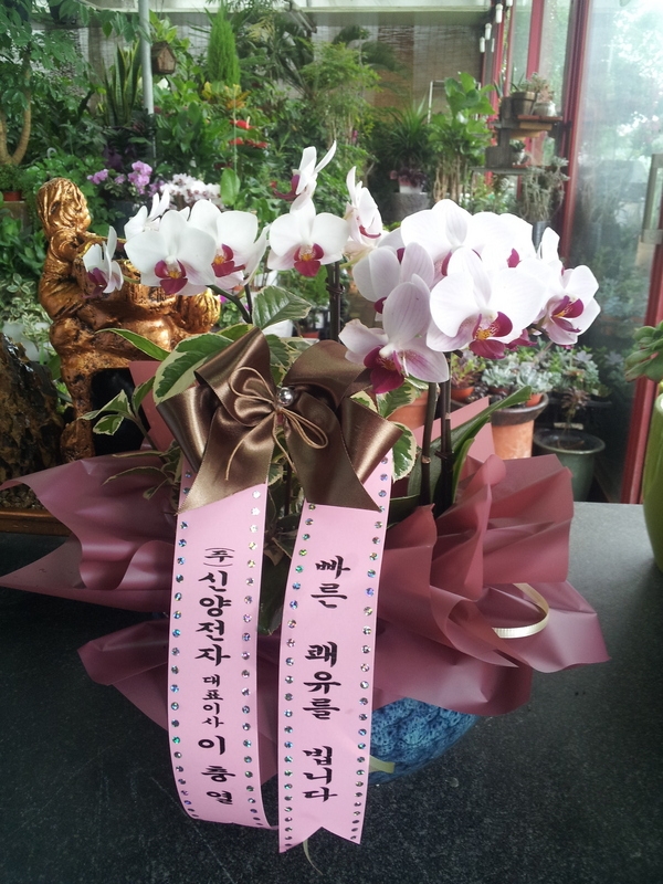 7��17��(������)