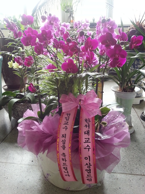 7��17��(������)