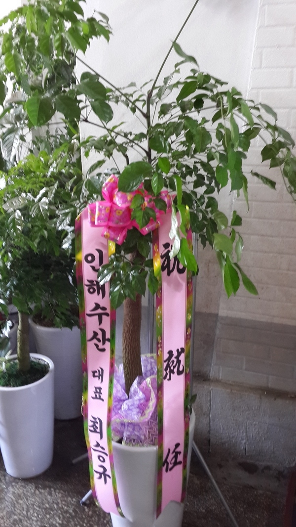 7��22��(��)