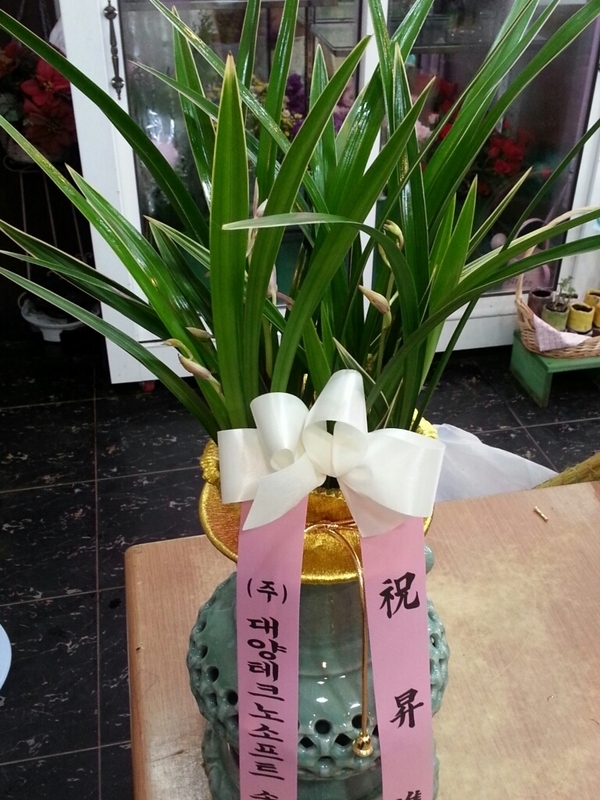 7��22��(��)