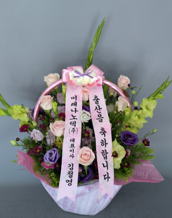 7��26��(�ݿ���)