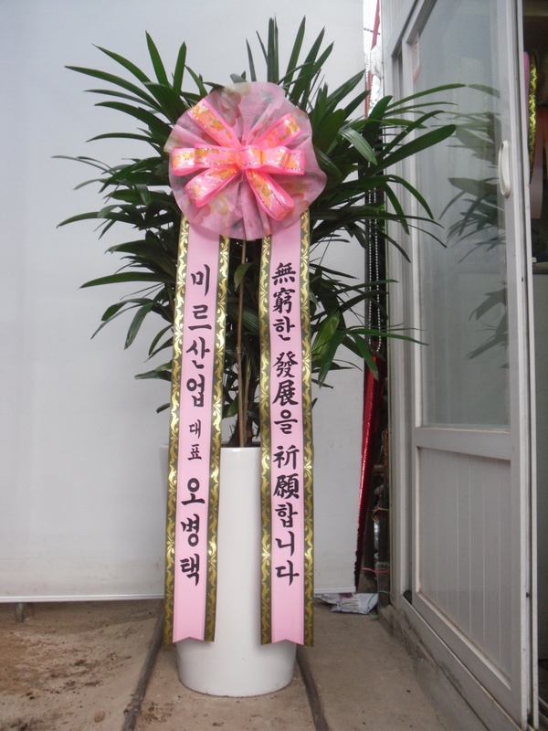 7��26��(�ݿ���)