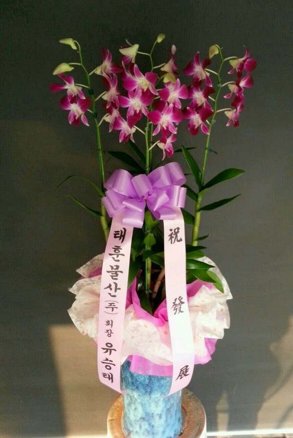 7��26��(�ݿ���)