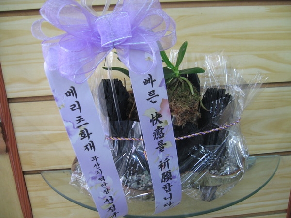 7��26��(�ݿ���)