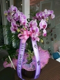 7��29��(��)