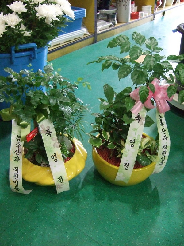 7��29��(��)