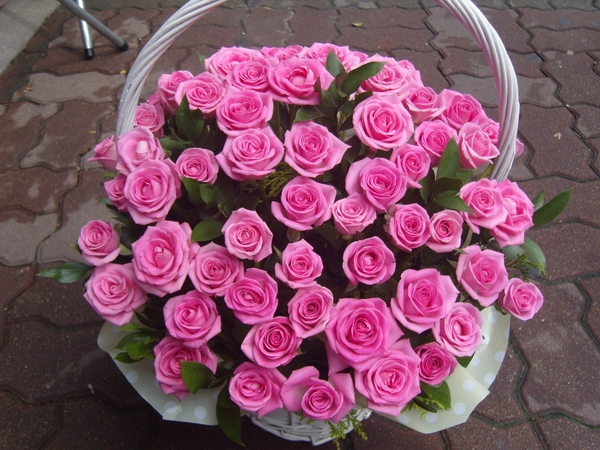 7��29��(��)