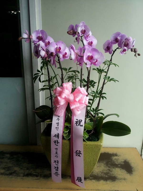 7��29��(��)