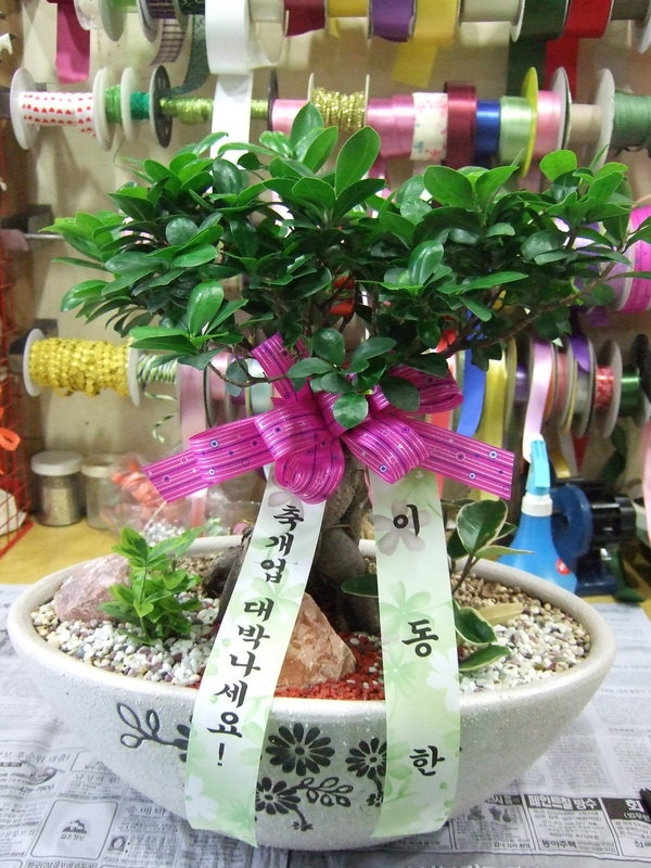 7��29��(��)