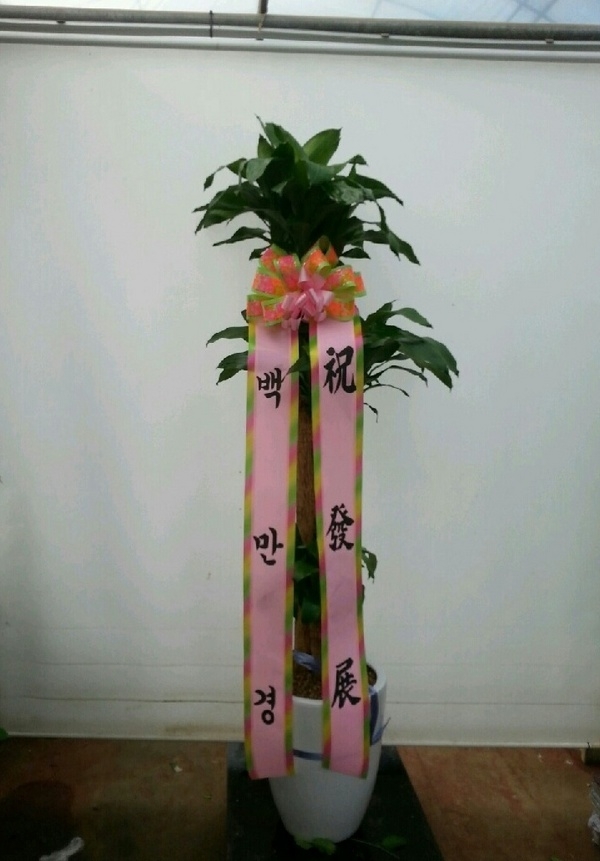 7��29��(��)