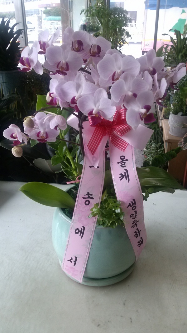 7��29��(��)