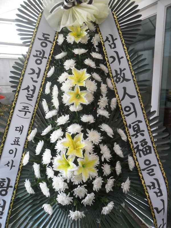 7��29��(��)