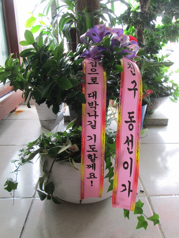 7��29��(��)