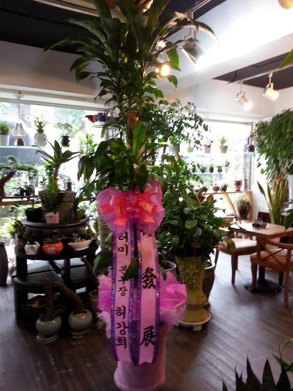 8��3��(�����)