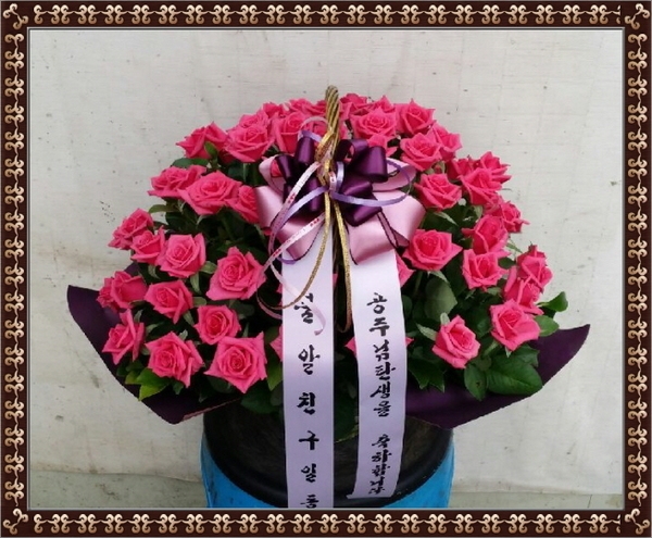 8��3��(�����)