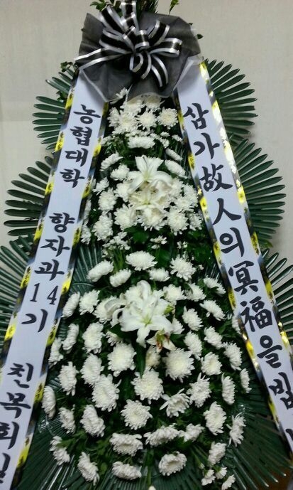 8��3��(�����)