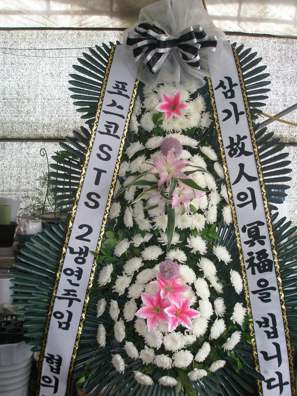 8��3��(�����)