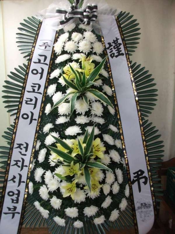 8��3��(�����)