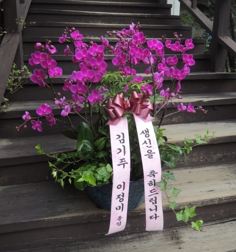 8��3��(�����)