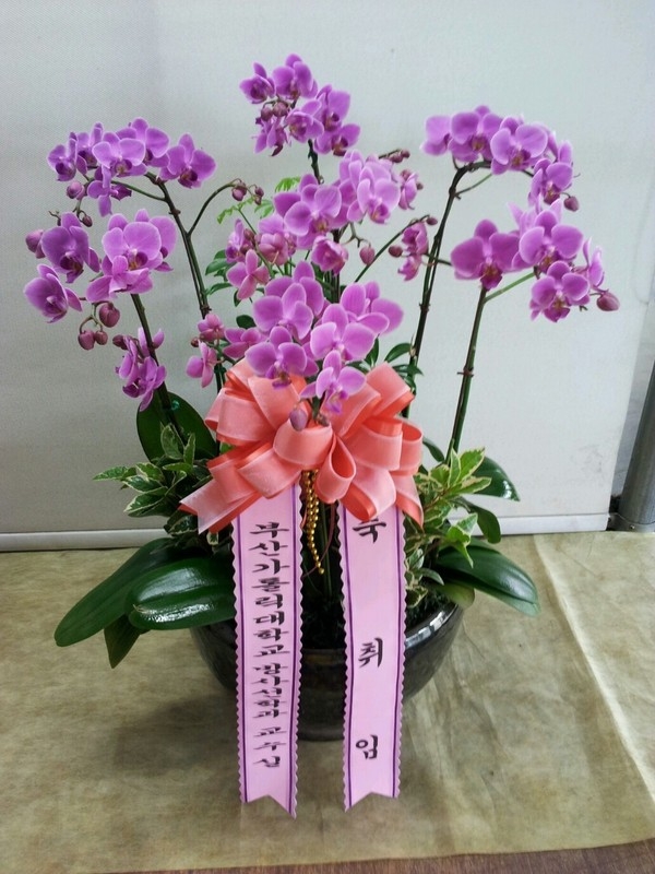 8��3��(�����)