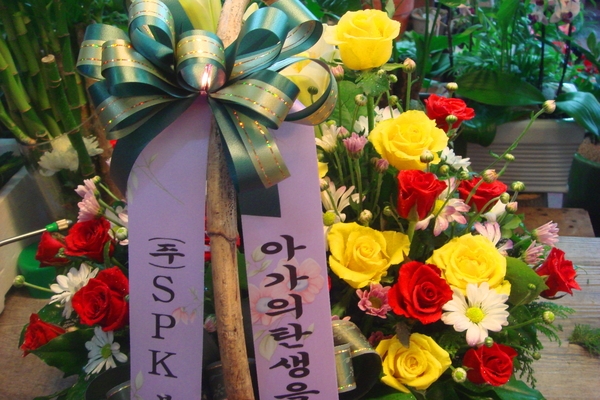 8��3��(�����)