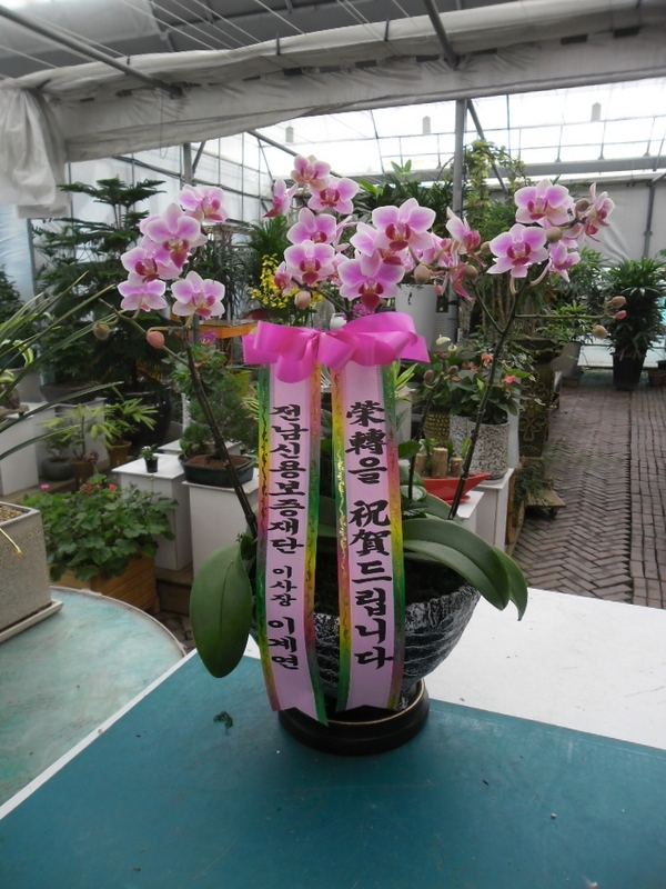 8��3��(�����)