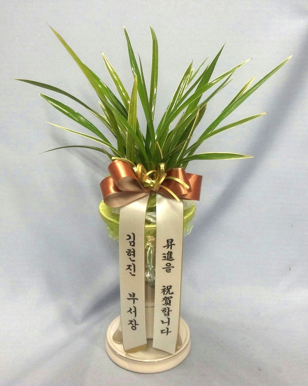 8��3��(�����)