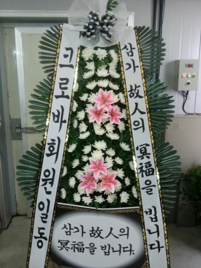 8��6��(ȭ)ũ�ι�ȸ