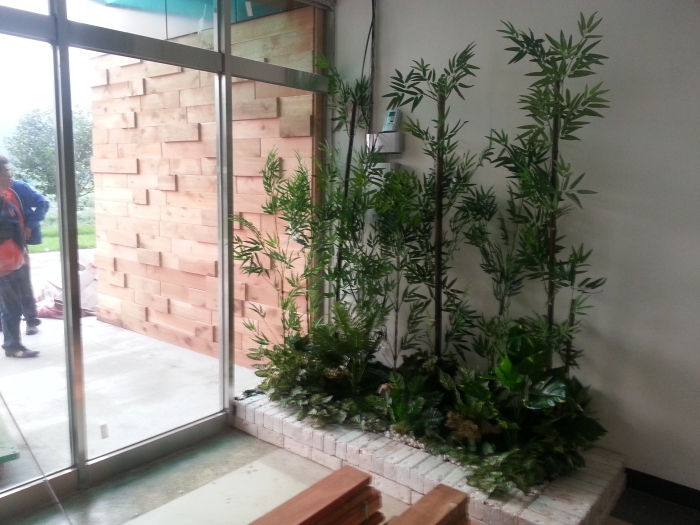 û�籺 �������