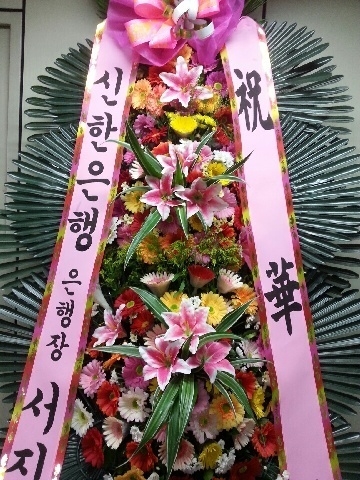 8��12��(��)