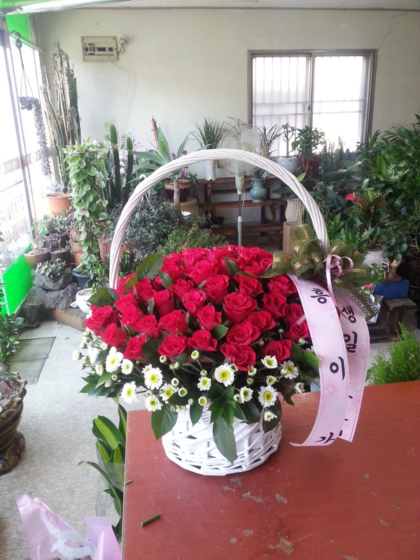 8��12��(��)