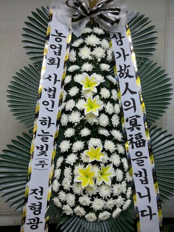 8��12��(��)