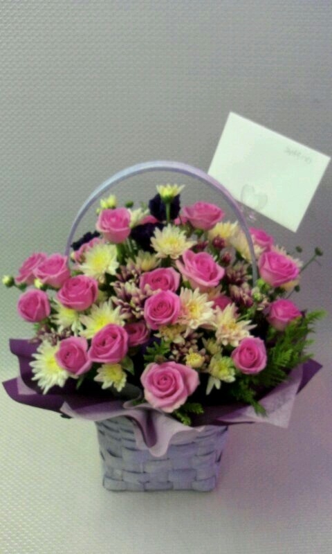 8��12��(��)