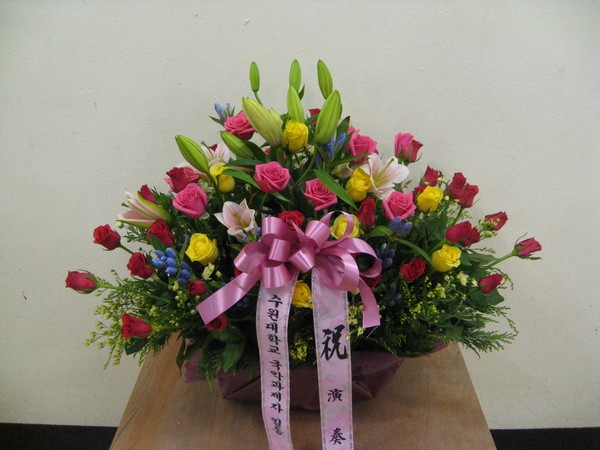 8��12��(��)